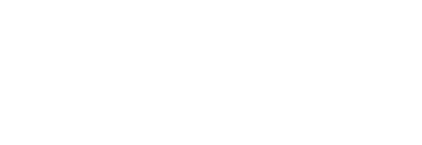 Blue Velvet Logo